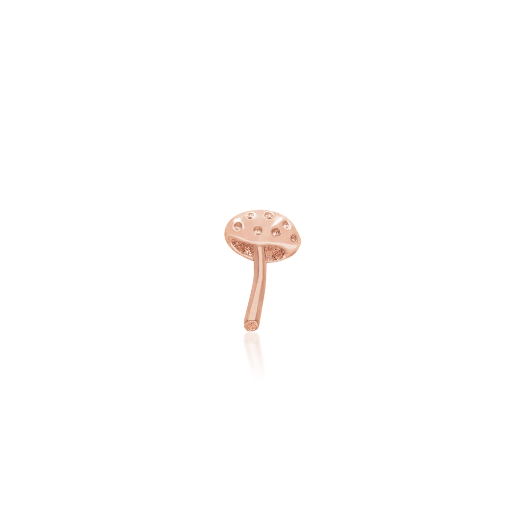 Dotty from Junipurr Rose Gold (Vault)