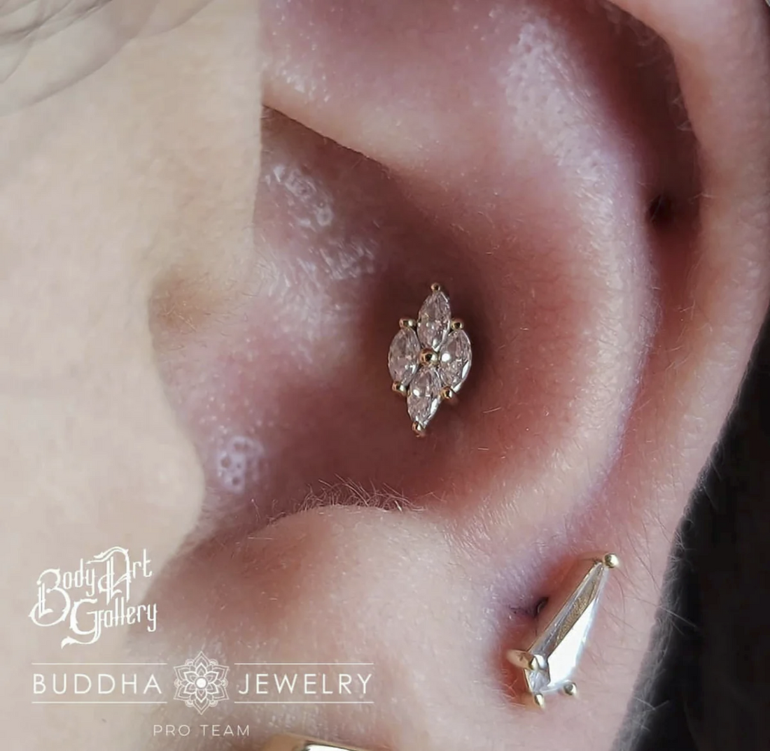 Dream On CZ — Buddha