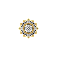 13 Stone Flower