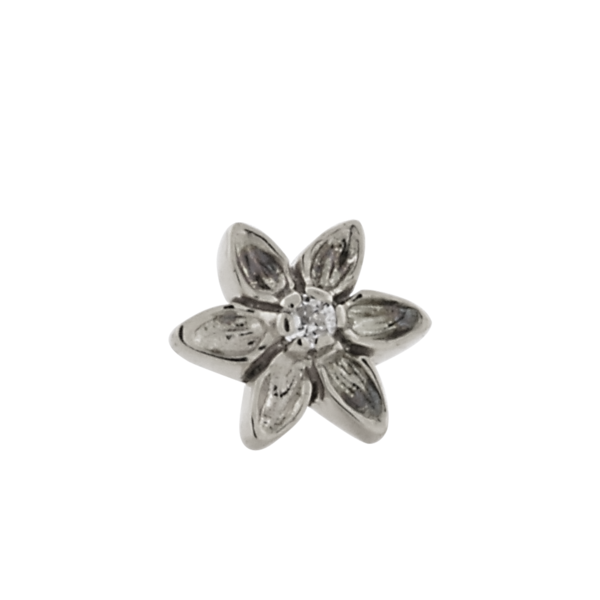 6 Petal Lotus Flower