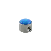 Titanium Captive Bezel End