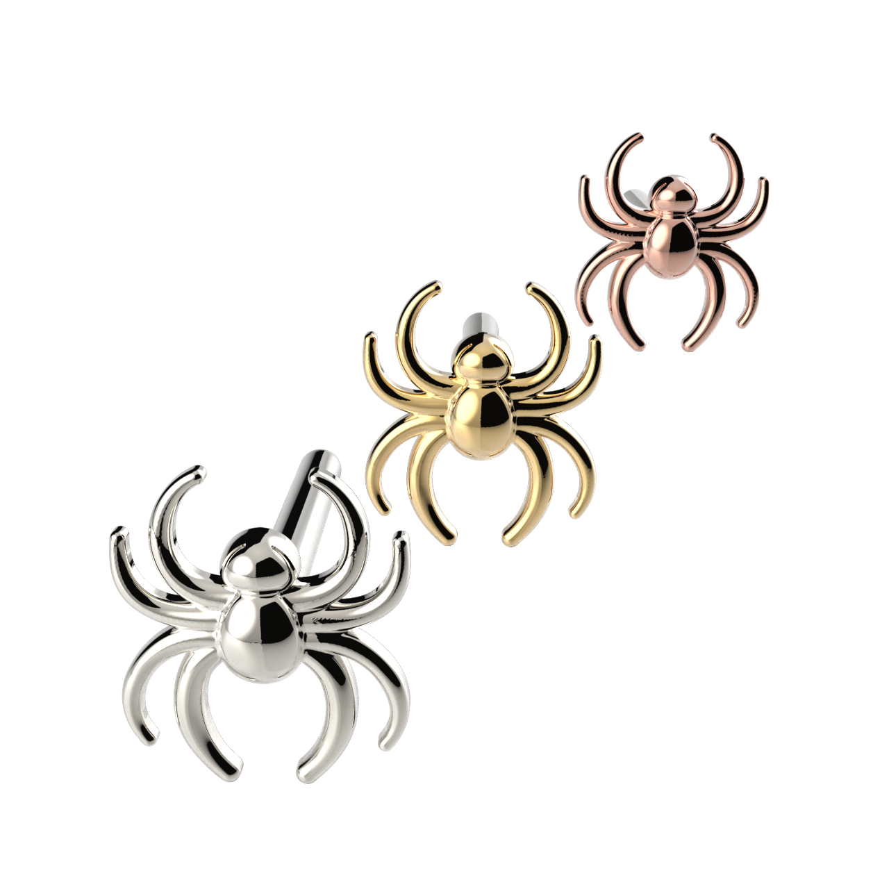 Spider
