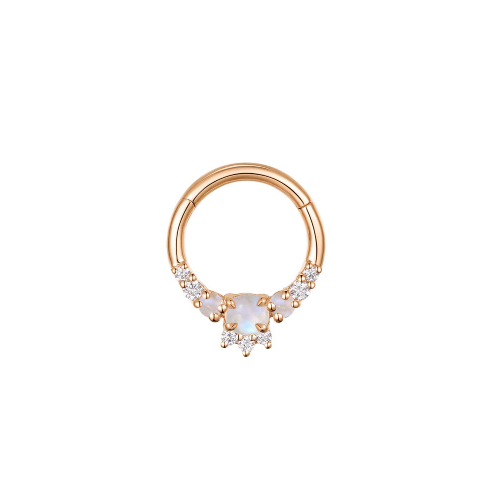 Leia Clicker - Elaborate — Modern Mood