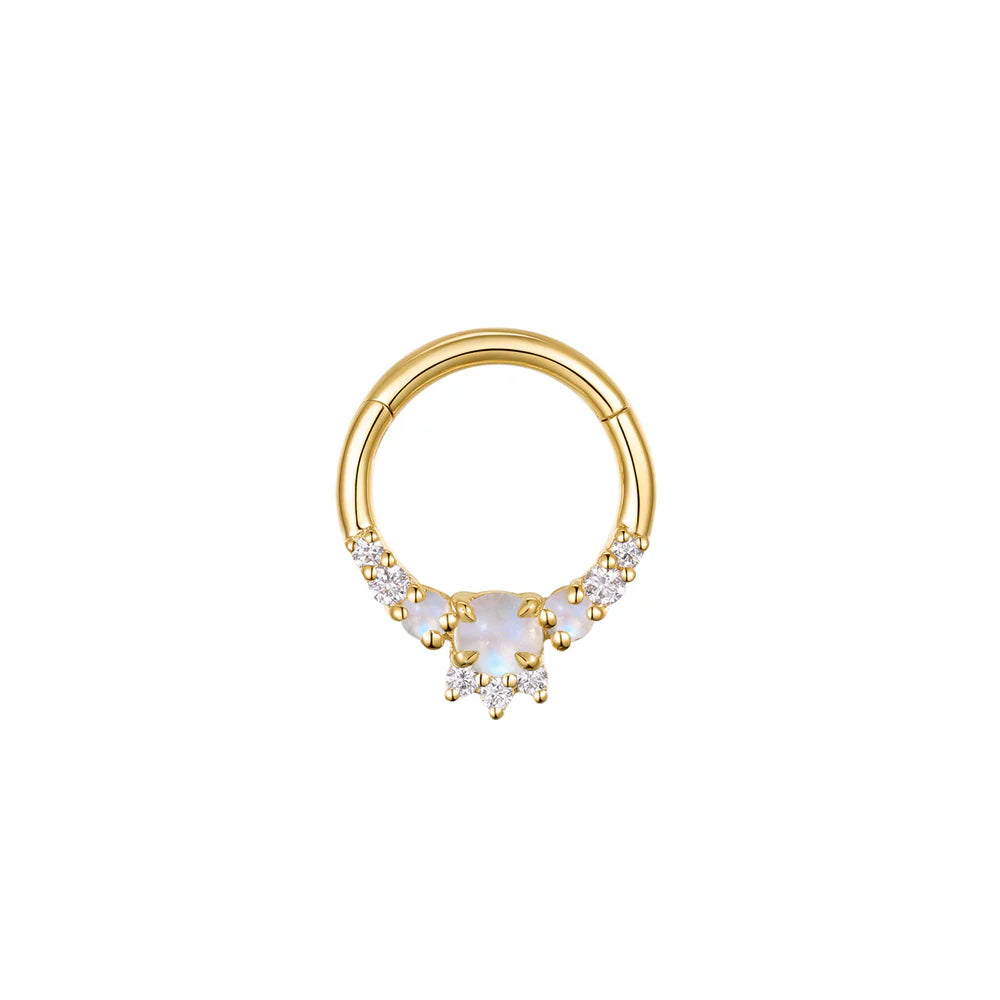 Leia Clicker - Elaborate — Modern Mood