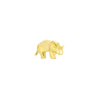 Elephant From Mushroom — M.US.HROOM
