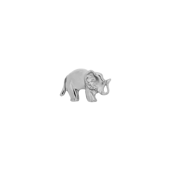 Elephant From Mushroom