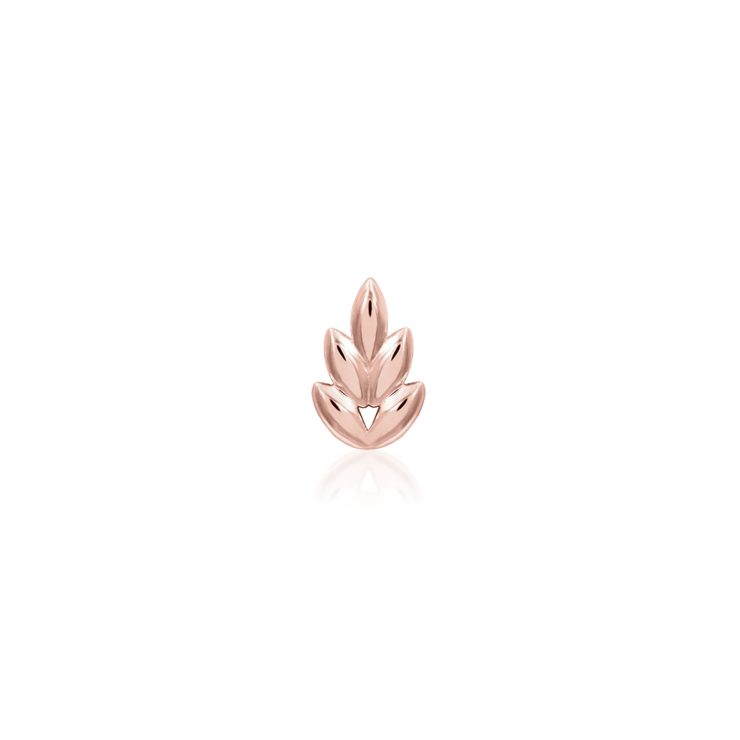 Fernanda — Junipurr