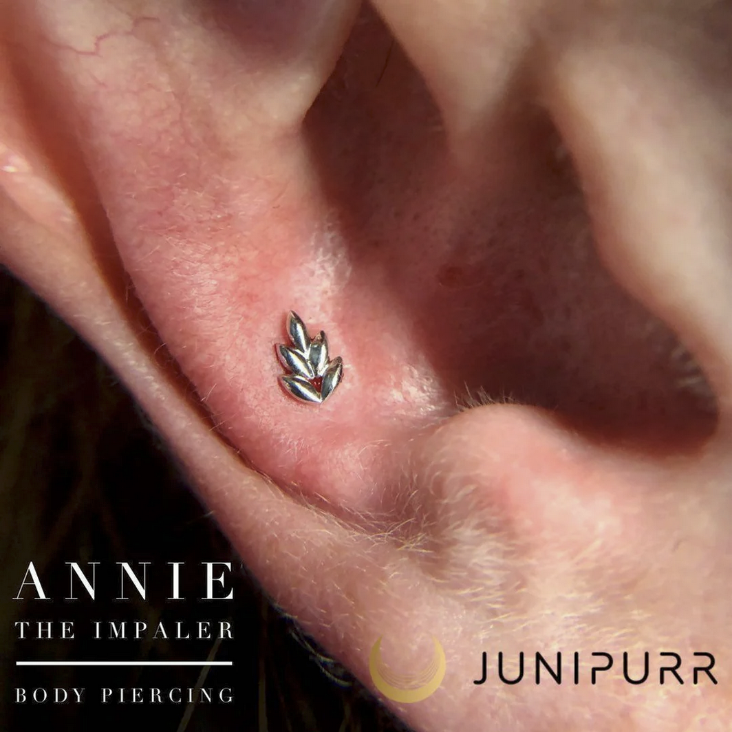Fernanda — Junipurr