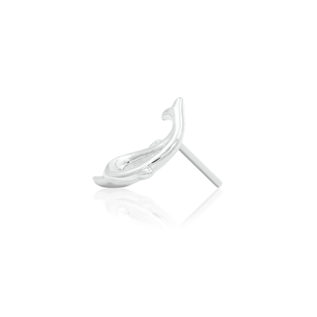Flipper from Junipurr (Vault)