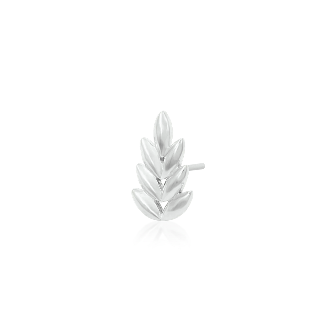 Forest — Junipurr