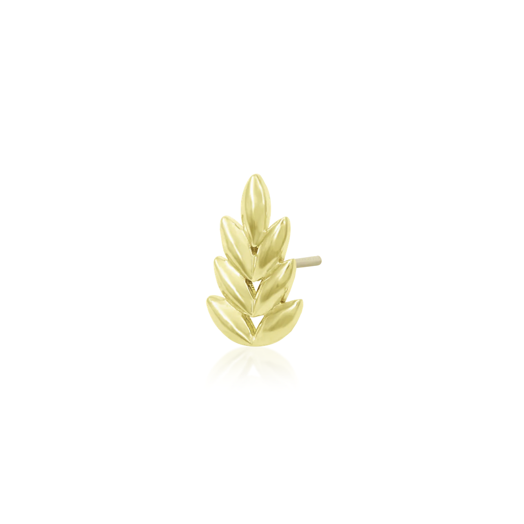 Forest — Junipurr
