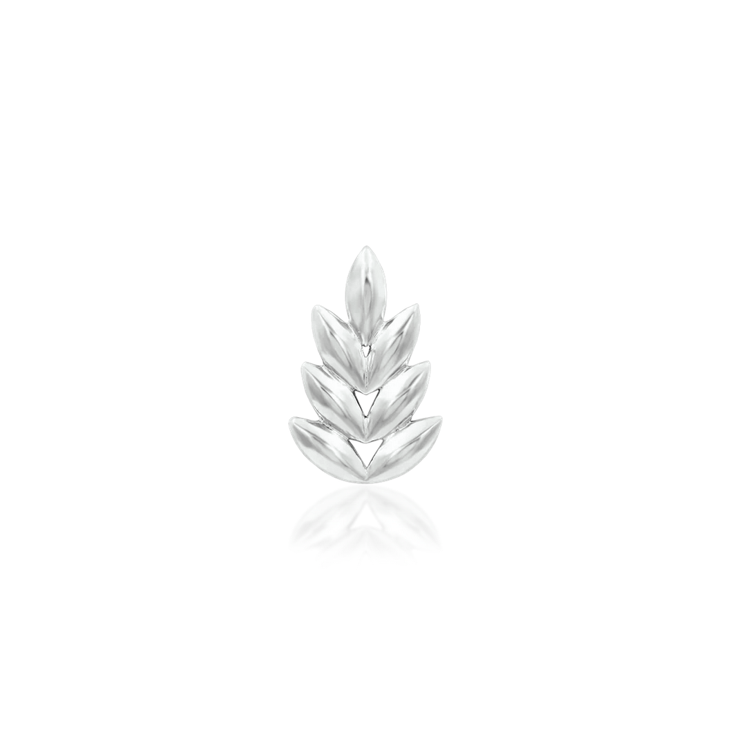 Forest — Junipurr