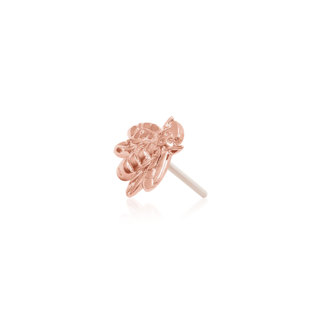 Gold Bee — Junipurr