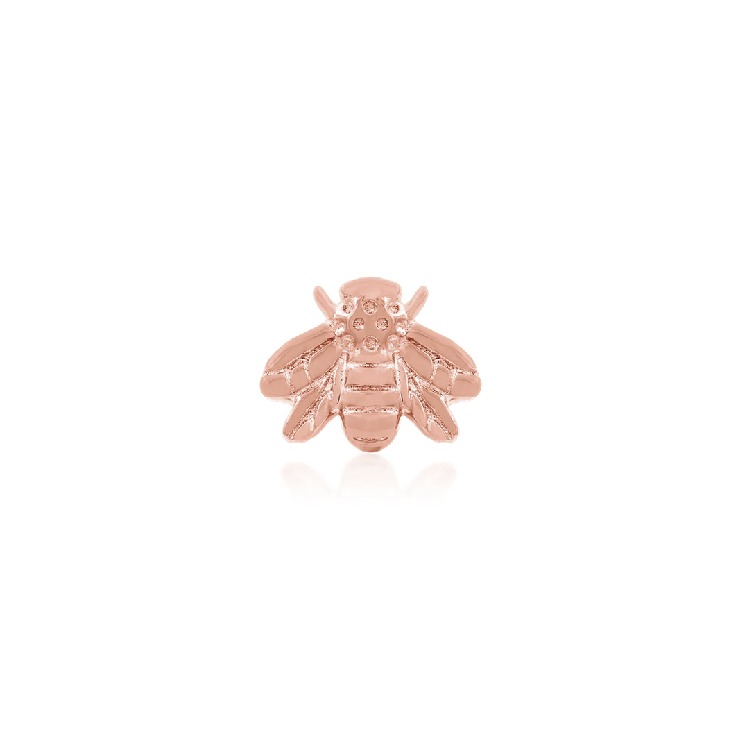 Gold Bee — Junipurr