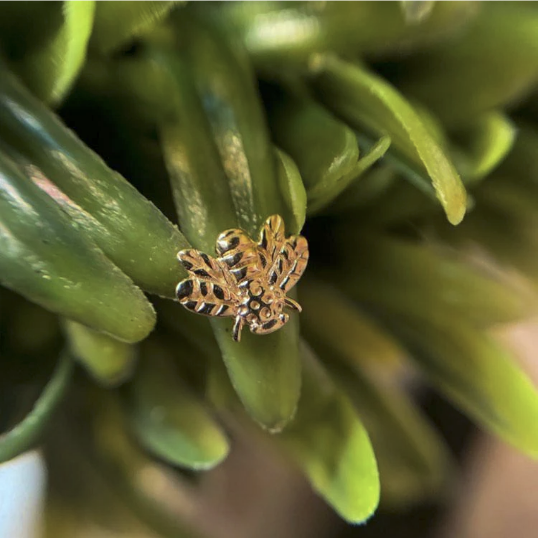 Gold Bee — Junipurr