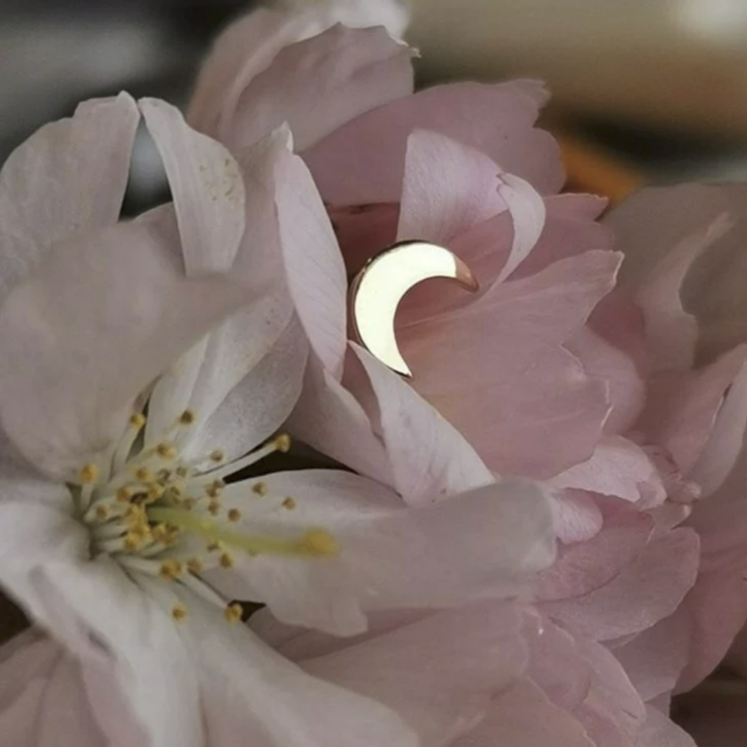 Gold Moon — Junipurr
