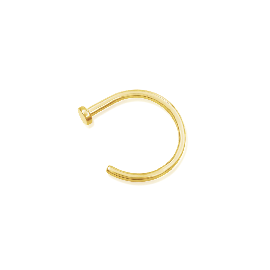 Gold Nostril Nail — Junipurr