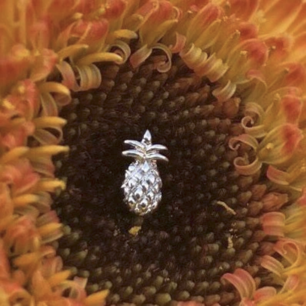 Gold Pineapple — Junipurr