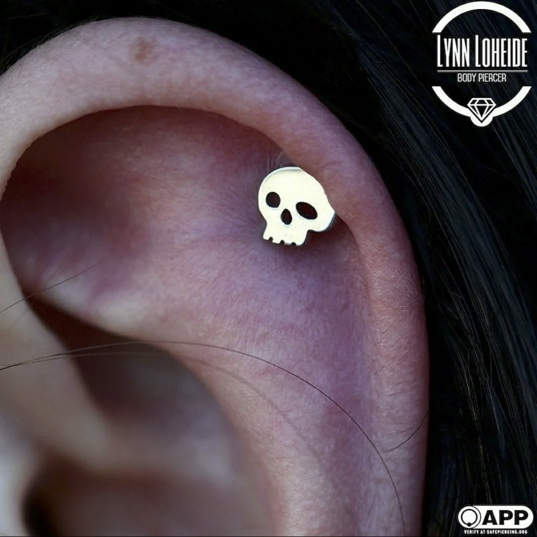 Gold Skull — Junipurr