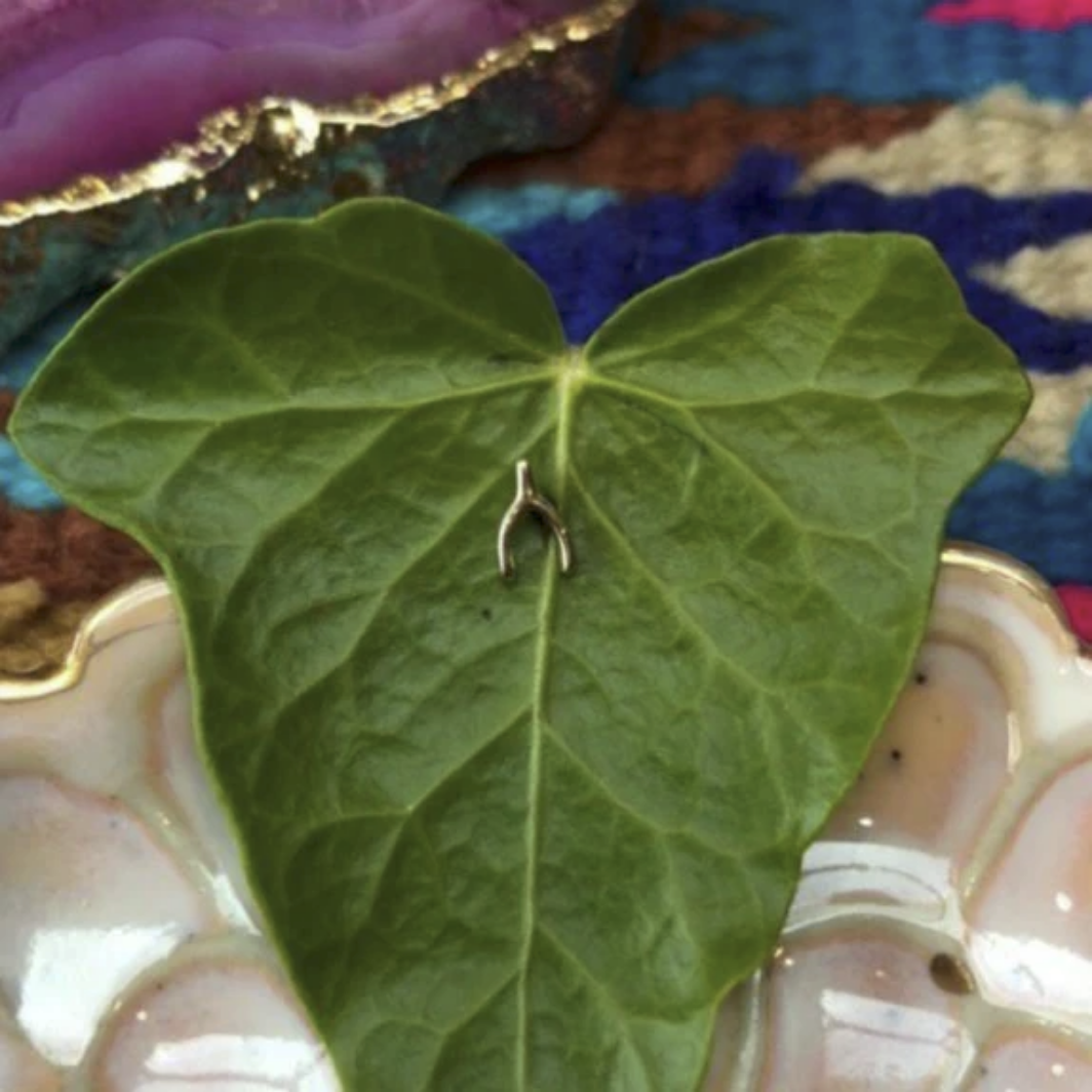Gold Wishbone from Junipurr