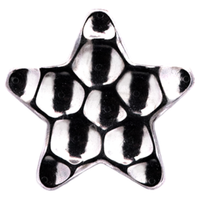 Titanium Hammered Star