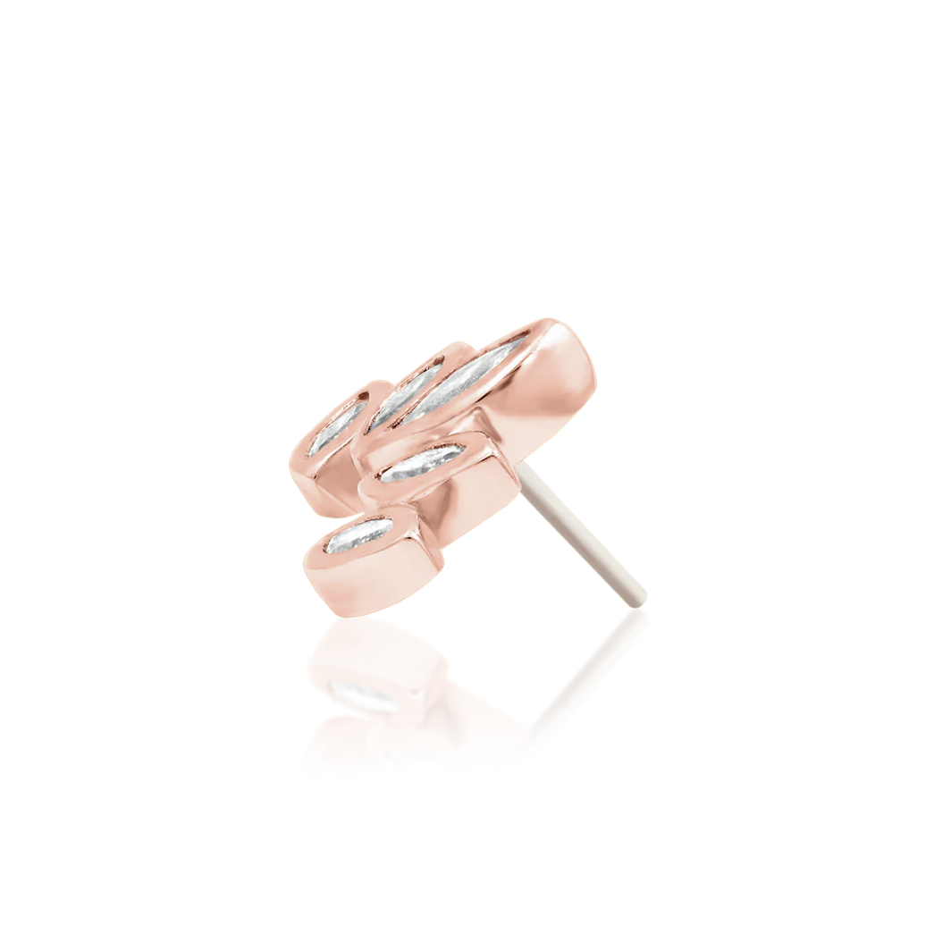 Havana from Junipurr Rose Gold (Vault) — Junipurr
