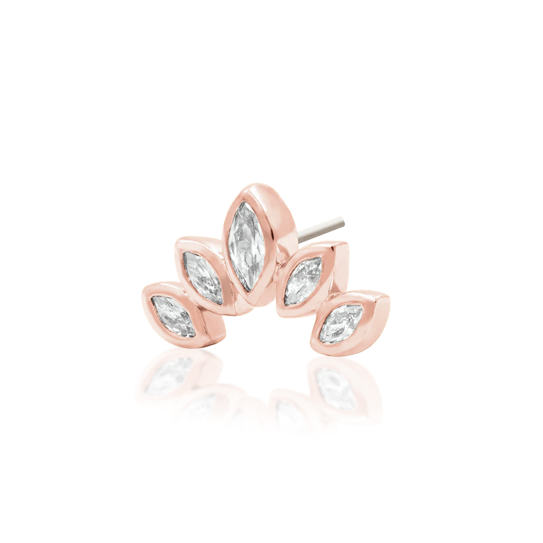Havana from Junipurr Rose Gold (Vault) — Junipurr