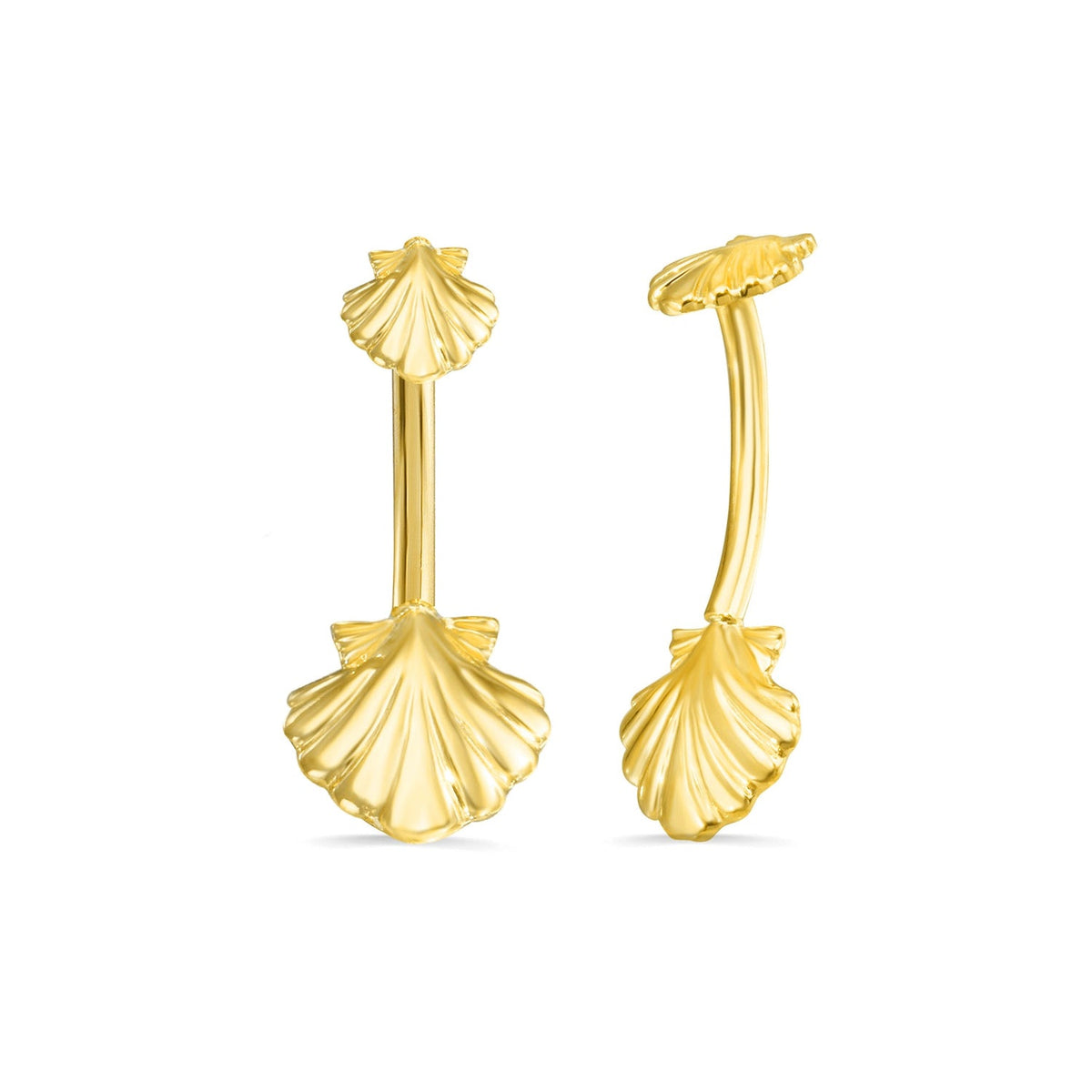 Shell Curved Barbell — NorVoch