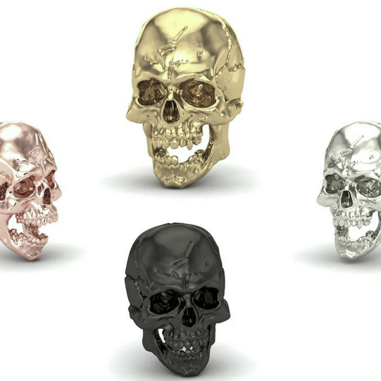 Jaw Motion Skull From Mushroom