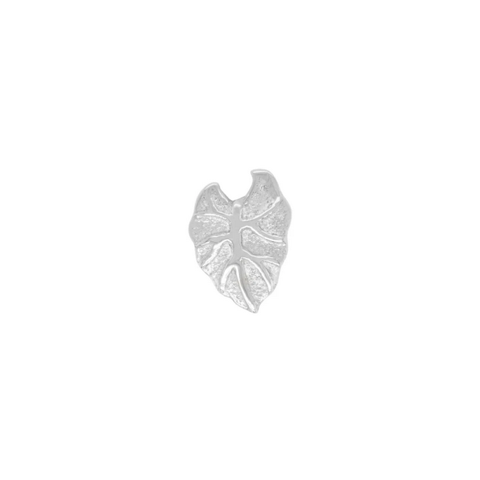 Kalo Leaf — Buddha
