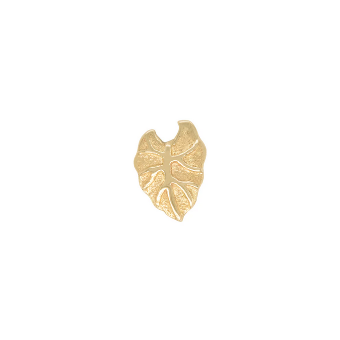 Kalo Leaf From Buddha