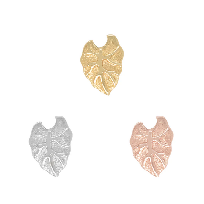 Kalo Leaf — Buddha