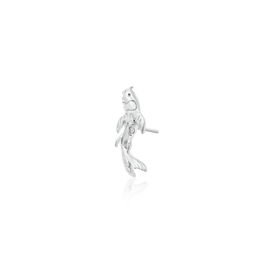 Koi — Junipurr