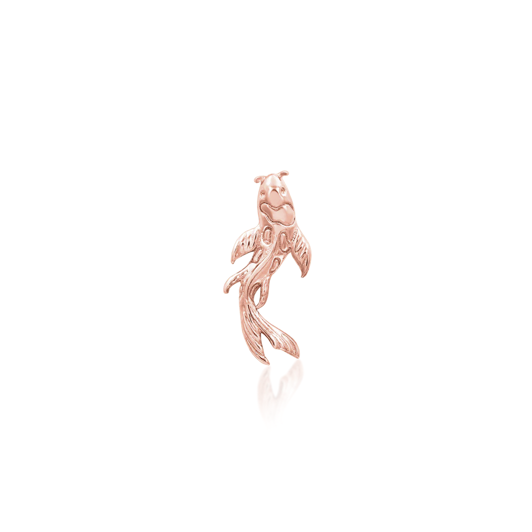 Koi — Junipurr