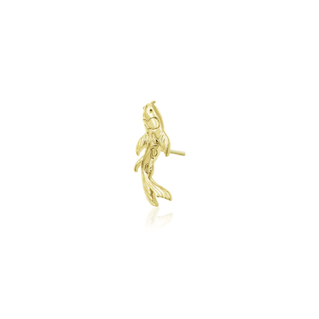 Koi — Junipurr