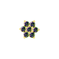 Lantana — NorVoch
