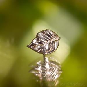 Gold Leaf 1A End — Anatometal
