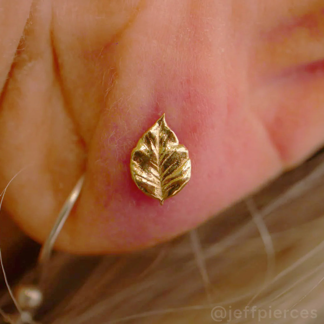 Gold Leaf 1A End — Anatometal