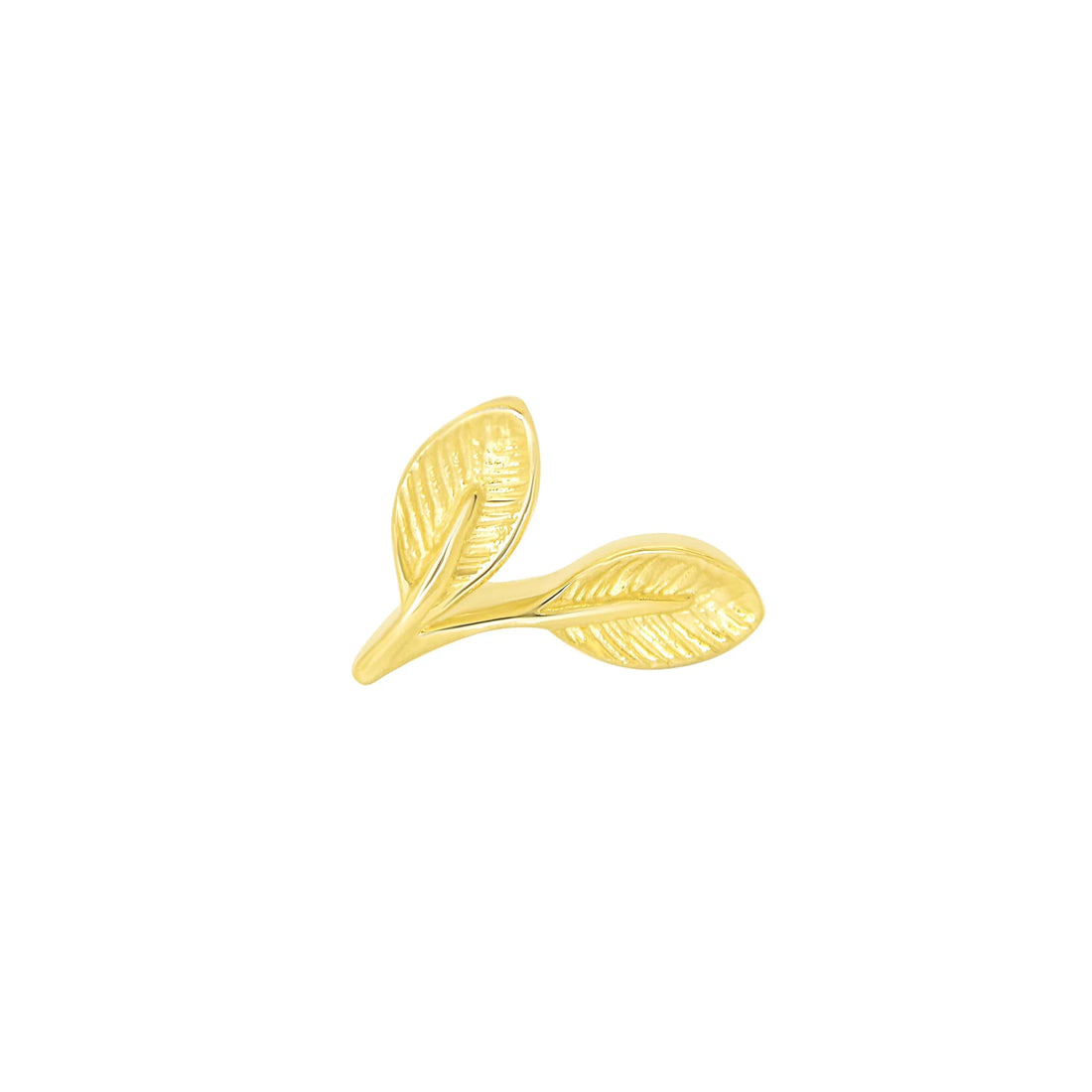 Leaf Elliptic From Mushroom — M.US.HROOM