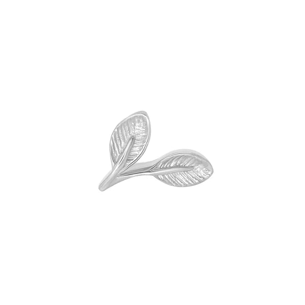 Leaf Elliptic From Mushroom — M.US.HROOM