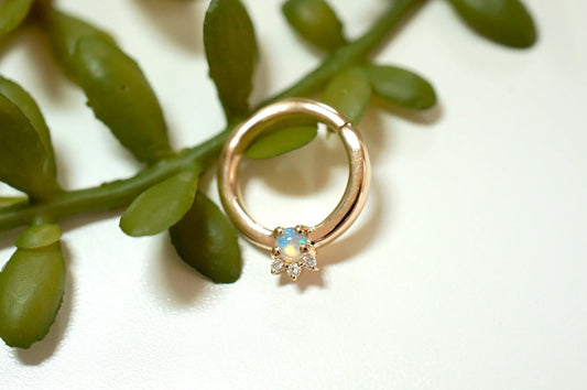 Leia Clicker from Modern Mood