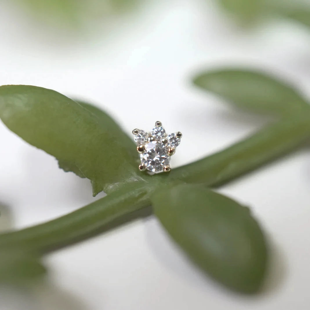 Leia Mini - All Diamond — Modern Mood