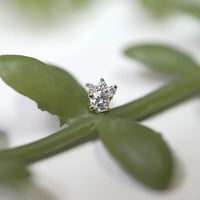 Leia Mini - All Diamond — Modern Mood
