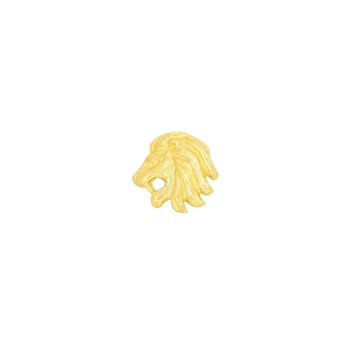 Lion From Mushroom — M.US.HROOM