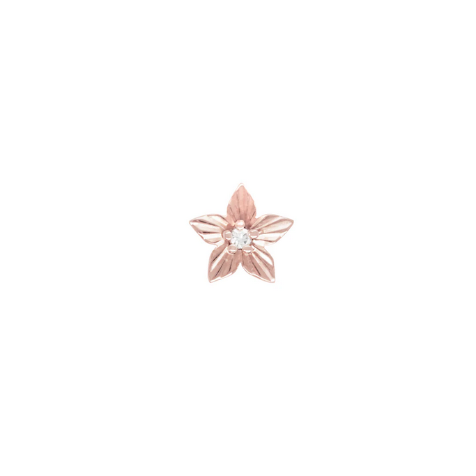 Lula — Buddha