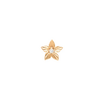 Lula — Buddha
