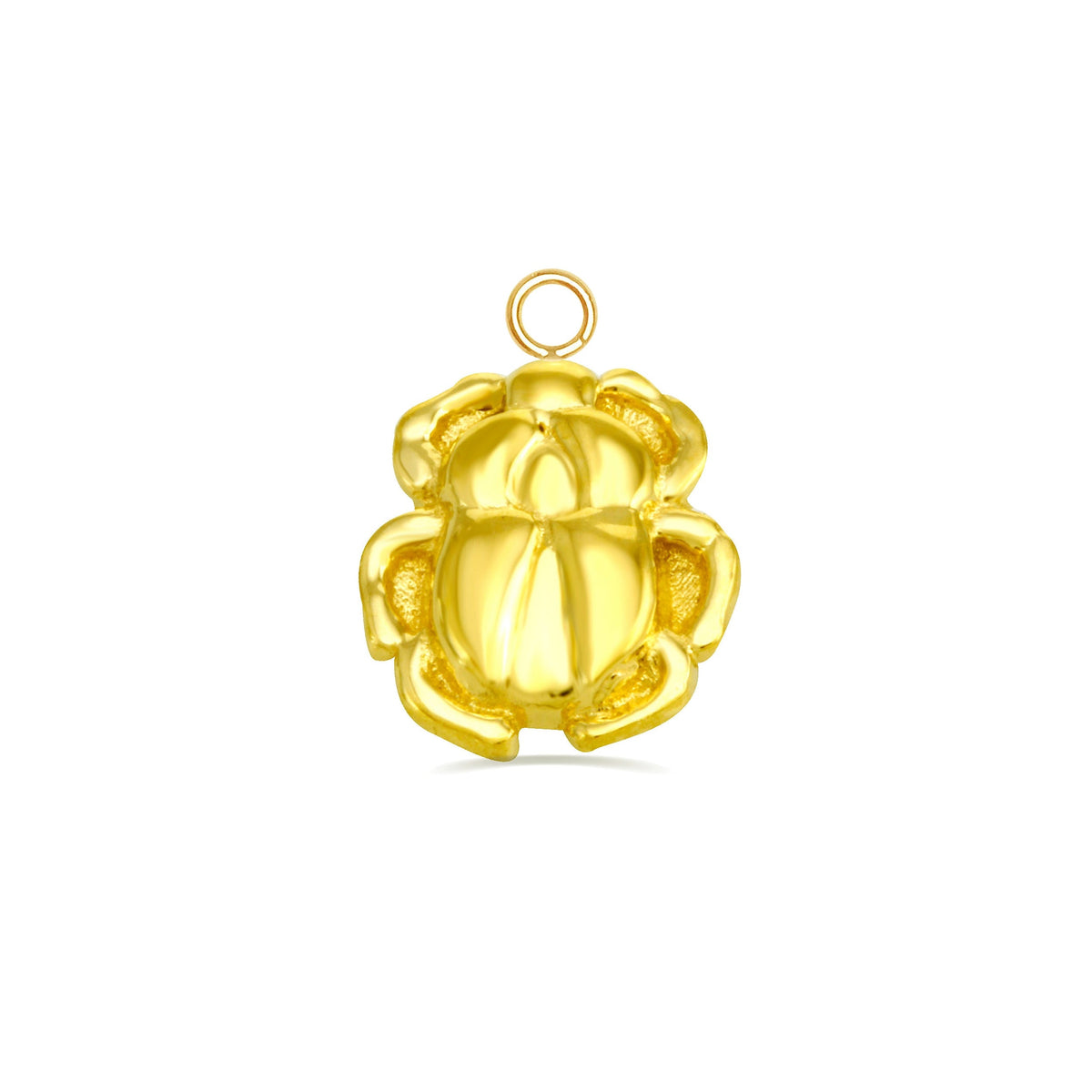 Beetle Charm — NorVoch