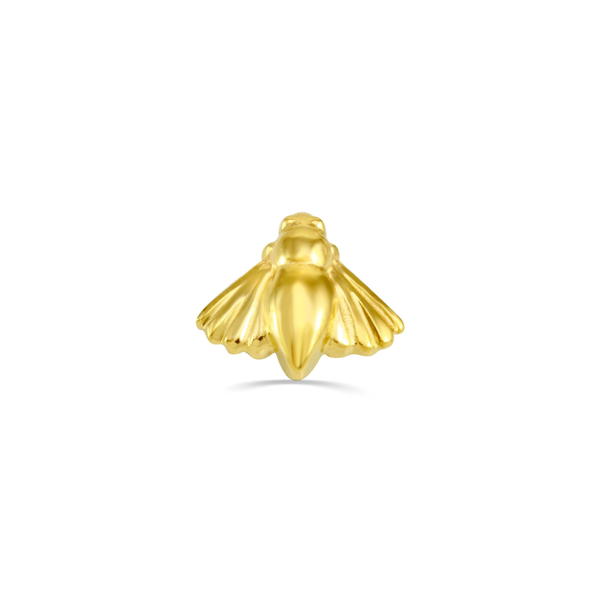 Moth — NorVoch