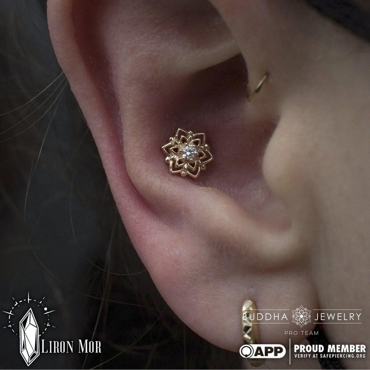 Mandala CZ Charitable Impact — Buddha