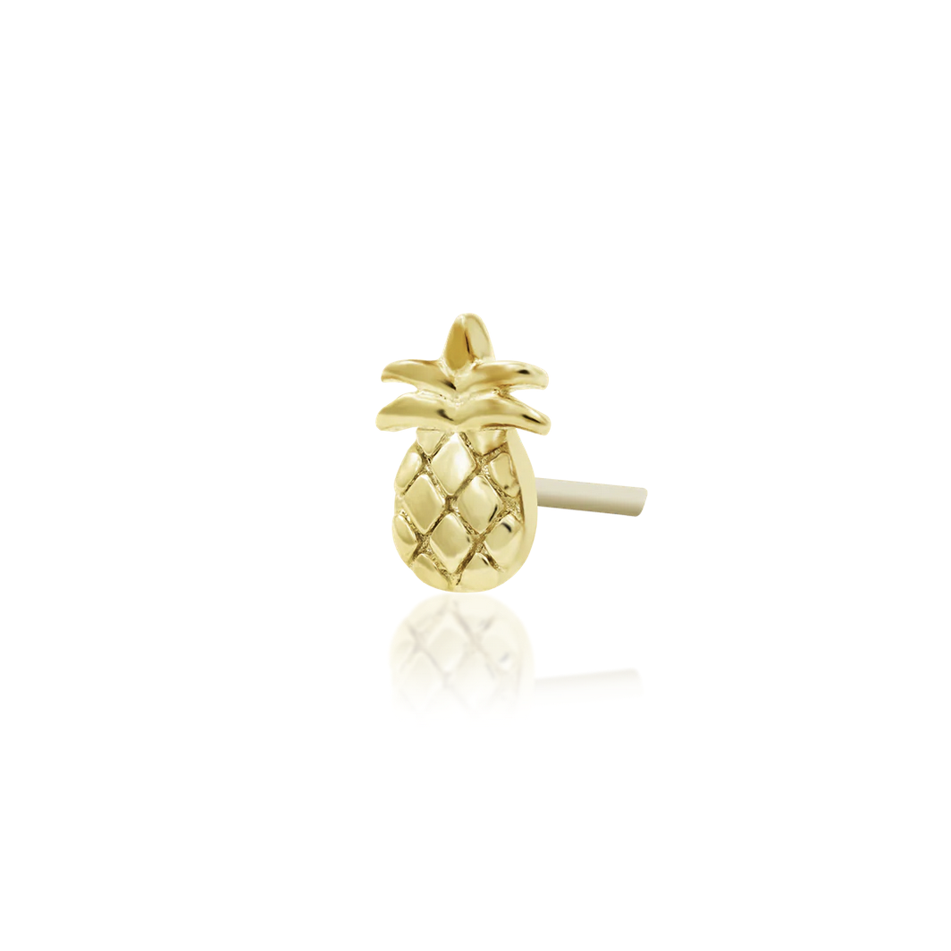 Mini Pineapple from Junipurr (Vault)